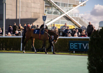 <a href="https://www.wbmencap.org/product/purchase-race-day-2025-photos/?pid=Q60B2207" target="_blank">CLICK TO BUY THIS PRINT (Q60B2207)</a>