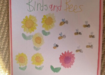Shaw House sale : Helen’s wonderful cards for sale, suitable for all occasions £6 per pack of 5 cards