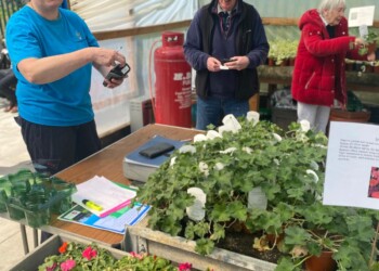 Eli Harris our Mulberry Garden Manager busy taking money and processing orders at the open day