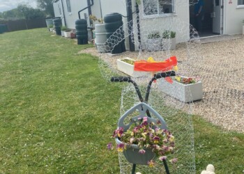 Our Mulberry Garden Open Day